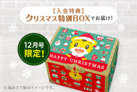 毎年少しずつデザインが変わるクリスマスBOX。今年は枠がついてて宝箱感が2割増しです。